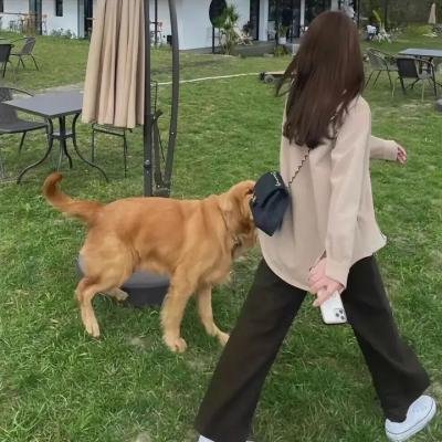 威乐比这一家